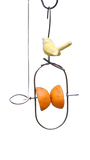 Bird feeder, fruit spear with bird
