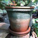 Antique style handmade greenhouse flower pots, with attached saucer 4 x #4 - Pots de serre