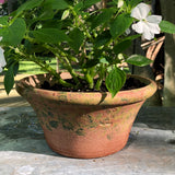 Handmade greenhouse flower bowls, Alpine model,  set of 4 - Pots de serre