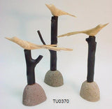 birds on rock