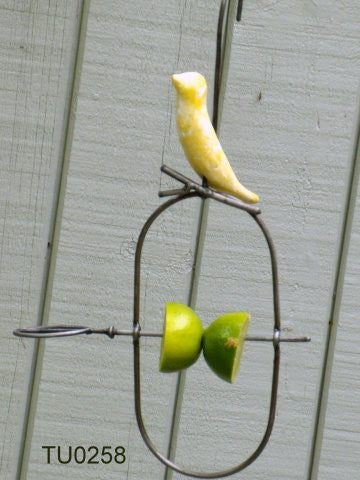Bird feeder, fruit spear with bird